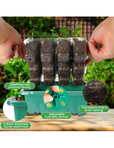 Kit de Inicio de Semillas Adawook 72 Celdas con Luces