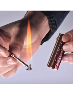 Encendedor de Cerilla de Metal BOLLAER Impermeable para Exterior 2