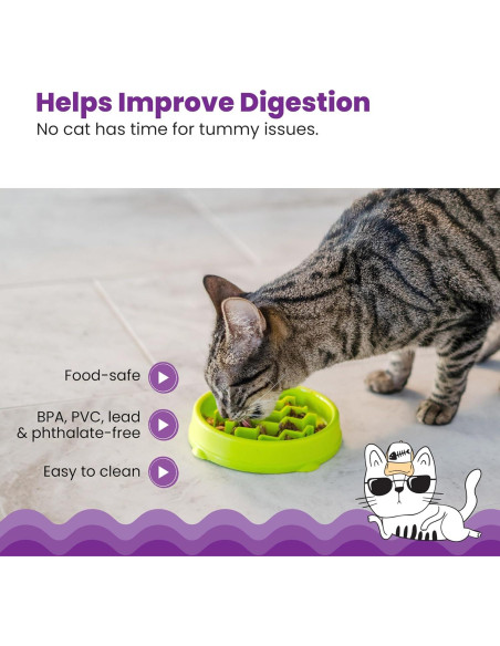 Tazón de Alimentación Lenta para Gatos Outward Hound Verde Tazón de Alimentación Lenta para Gatos Outward Hound Verde