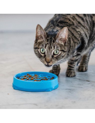 Tazón de Alimentación Lenta para Gatos Outward Hound Azul