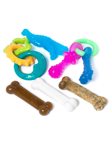 Kit de Inicio para Cachorros Nylabone - 6 Juguetes y Golosina