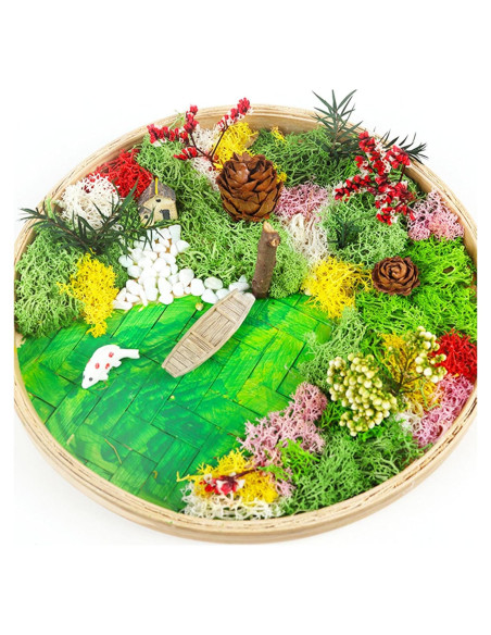 Kit de Jardín Zen Woohome para Escritorio - Pintura de Musgo DIY Kit de Jardín Zen Woohome para Escritorio - Pintura de Musgo DIY