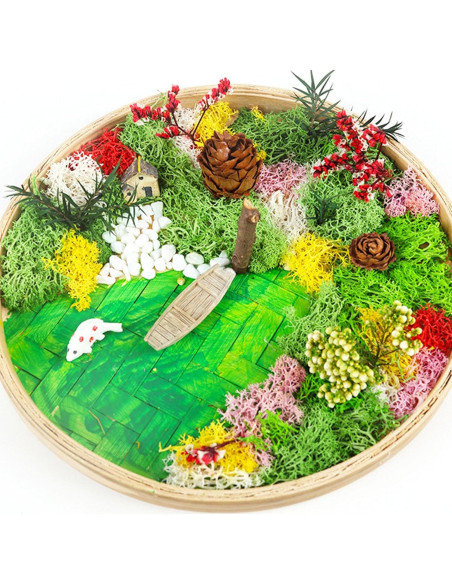 Kit de Jardín Zen Woohome para Escritorio - Pintura de Musgo DIY Kit de Jardín Zen Woohome para Escritorio - Pintura de Musgo DIY