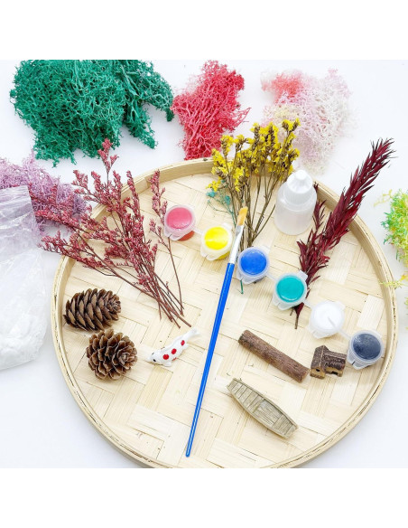 Kit de Jardín Zen Woohome para Escritorio - Pintura de Musgo DIY Kit de Jardín Zen Woohome para Escritorio - Pintura de Musgo DIY