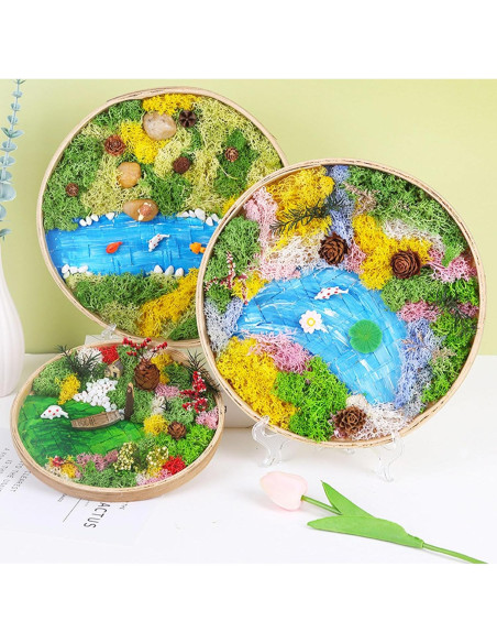 Kit de Jardín Zen Woohome para Escritorio - Pintura de Musgo DIY Kit de Jardín Zen Woohome para Escritorio - Pintura de Musgo DIY