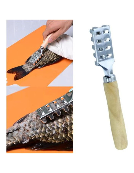 Raspador de Escamas de Pescado Acero Inoxidable Ergonomico Raspador de Escamas de Pescado Acero Inoxidable Ergonomico