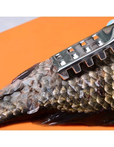 Raspador de Escamas de Pescado Acero Inoxidable Ergonomico Raspador de Escamas de Pescado Acero Inoxidable Ergonomico