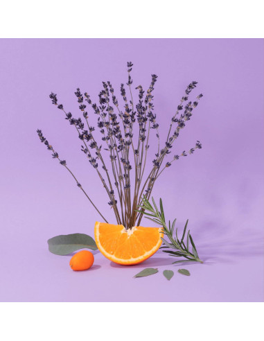Crema de Manos Hidratante Compagnie de Provence Lavanda 32g