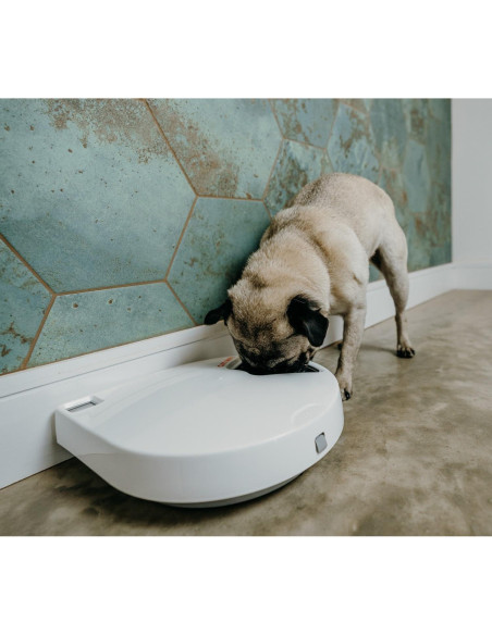 Comedero Automático Cat Mate C500 5 Comidas para Mascotas Comedero Automático Cat Mate C500 5 Comidas para Mascotas