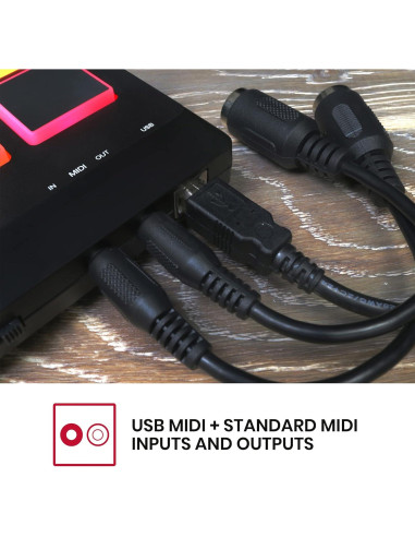 Controlador Akai MPX8 con 8 Pads Sensibles y MIDI