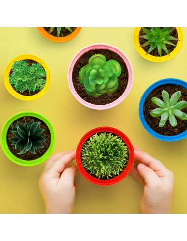 Plantas Suculentas Artificiales QUOZUO 6pcs Verdes 6-13cm