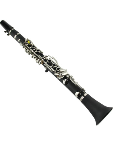 Clarinete Profesional Eb Marca Desconocida con Estuche