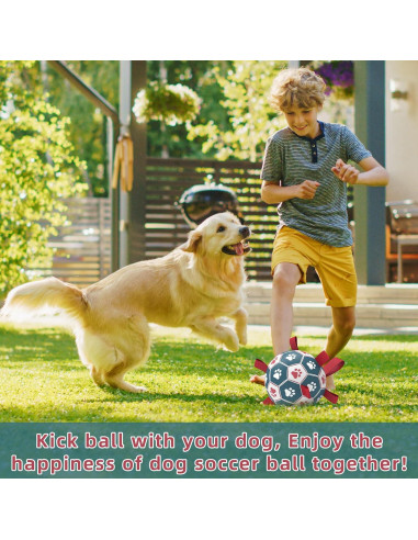 Pelota de Fútbol QDAN para Perros Medianos y Pequeños