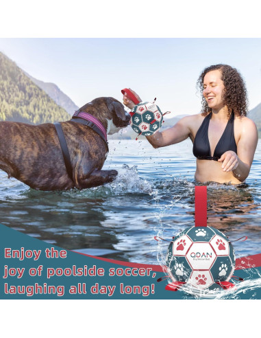 Pelota de Fútbol QDAN para Perros Medianos y Pequeños