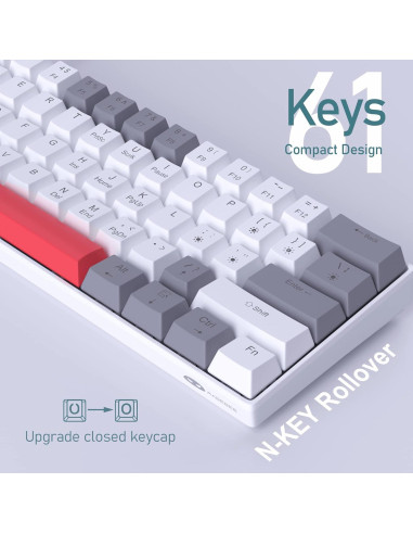 Teclado Mecánico Camiysn 61 Teclas Compacto Luz Azul