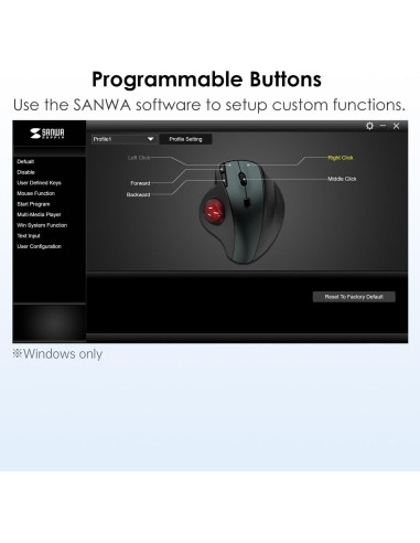 SANWA Ratón Trackball Inalámbrico 2.4G Ergonómico 4 DPI