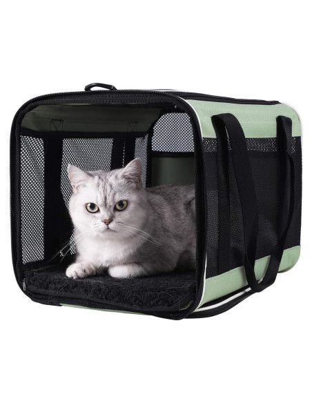 Transportín Petisfam Menta para Gatos y Perros Pequeños Transportín Petisfam Menta para Gatos y Perros Pequeños