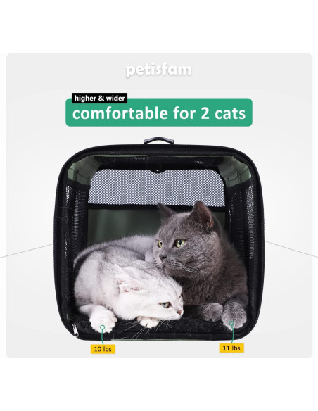 Transportín Petisfam Menta para Gatos y Perros Pequeños Transportín Petisfam Menta para Gatos y Perros Pequeños