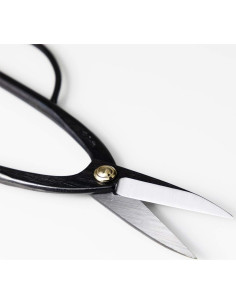 Kit de herramientas de bonsái Wazakura Japón - Tijeras 200mm + Cortador 200mm 2