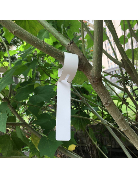 200 Etiquetas de Plástico Blanco MIHEY para Jardín 2x20cm 200 Etiquetas de Plástico Blanco MIHEY para Jardín 2x20cm