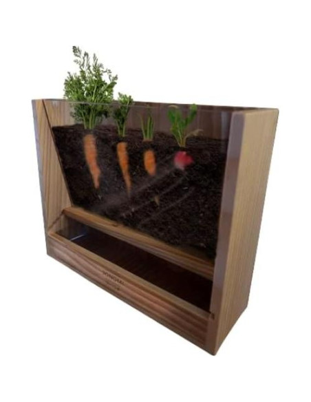 Maceta JONOMI con Ventana para Ver Raíces - Proyecto Educativo Maceta JONOMI con Ventana para Ver Raíces - Proyecto Educativo