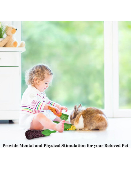 Juguetes Masticables Naturales SunGrow para Conejos - 3 Piezas Juguetes Masticables Naturales SunGrow para Conejos - 3 Piezas