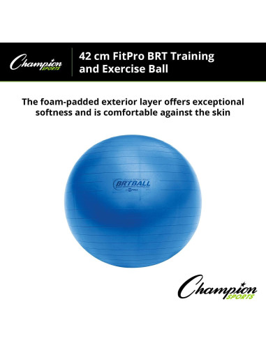 Pelota de Ejercicio Champion Sports FitPro 42 cm Azul