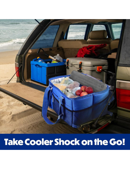 Paquete de Hielo Reutilizable Cooler Shock - 2 Unidades 2.27 kg Paquete de Hielo Reutilizable Cooler Shock - 2 Unidades 2.27 kg