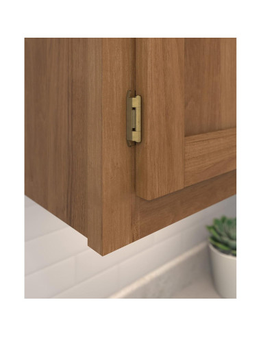 Bisagra Doble Desmontable Amerock BP8704BB 13mm Latón Pulido