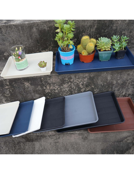 Bandeja de Cultivo VUWEZ Rectangular 28x19.3 cm para Plantas Bandeja de Cultivo VUWEZ Rectangular 28x19.3 cm para Plantas