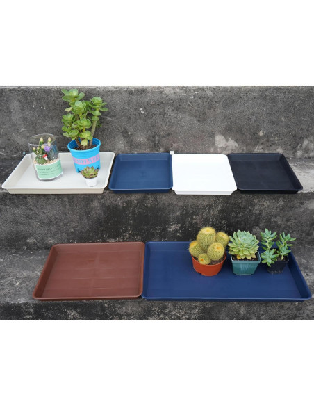 Bandeja de Cultivo VUWEZ Rectangular 28x19.3 cm para Plantas Bandeja de Cultivo VUWEZ Rectangular 28x19.3 cm para Plantas