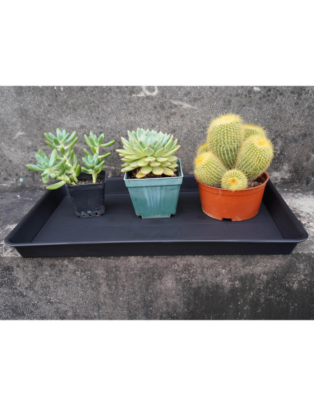 Bandeja de Cultivo VUWEZ Rectangular 28x19.3 cm para Plantas Bandeja de Cultivo VUWEZ Rectangular 28x19.3 cm para Plantas