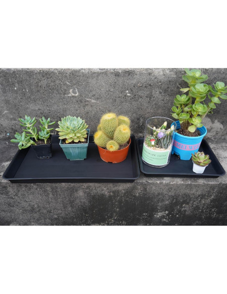 Bandeja de Cultivo VUWEZ Rectangular 28x19.3 cm para Plantas Bandeja de Cultivo VUWEZ Rectangular 28x19.3 cm para Plantas