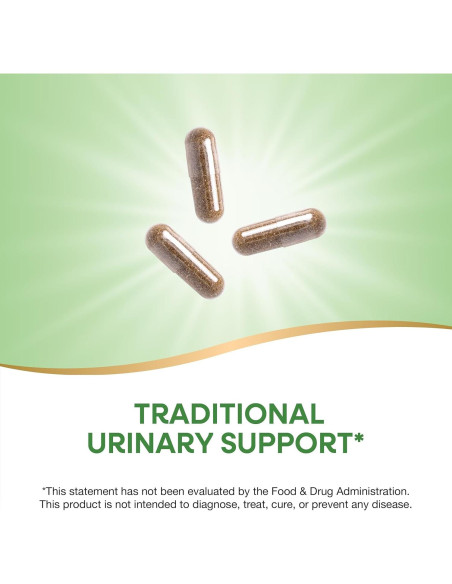 Hojas de Uva Ursi Nature's Way 100 Cápsulas Veganas 1110 mg Hojas de Uva Ursi Nature's Way 100 Cápsulas Veganas 1110 mg
