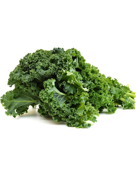 Deshojador de Kale Chef'n 19cm - Utensilio de Cocina Deshojador de Kale Chef'n 19cm - Utensilio de Cocina