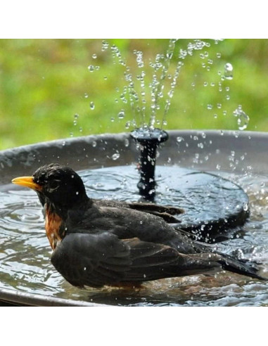 Bomba de Fuente Solar VIVII 1.4W para Jardín y Acuario