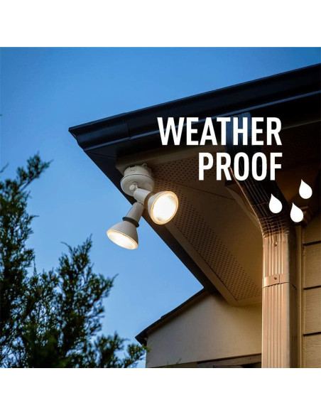 Bombilla LED Inteligente Cree Lighting PAR38 Exterior 4 Unidades Bombilla LED Inteligente Cree Lighting PAR38 Exterior 4 Unidades