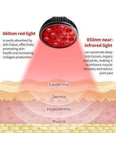 Lámpara de Terapia de Luz Roja Aumtrly 41.9 cm Ajustable 2