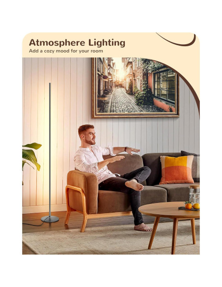 Lámpara de Pie LED EDISHINE 57.5" Regulable Plata Lámpara de Pie LED EDISHINE 57.5" Regulable Plata