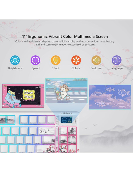 Teclado Mecánico Womier SK80 PRO RGB Inalámbrico 75% Teclado Mecánico Womier SK80 PRO RGB Inalámbrico 75%