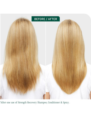 Champú Biolage 1000 ml - Recuperación de Fuerza para Cabello Dañado