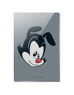Imán de Refrigerador Rectangular Acrílico Animaniacs 7.6x5.1cm