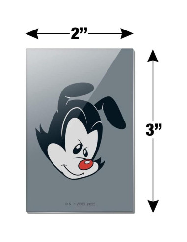 Imán de Refrigerador Rectangular Acrílico Animaniacs 7.6x5.1cm