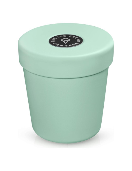 Contenedor Helado La Canteen Verde Menta 414ml Aislado Contenedor Helado La Canteen Verde Menta 414ml Aislado