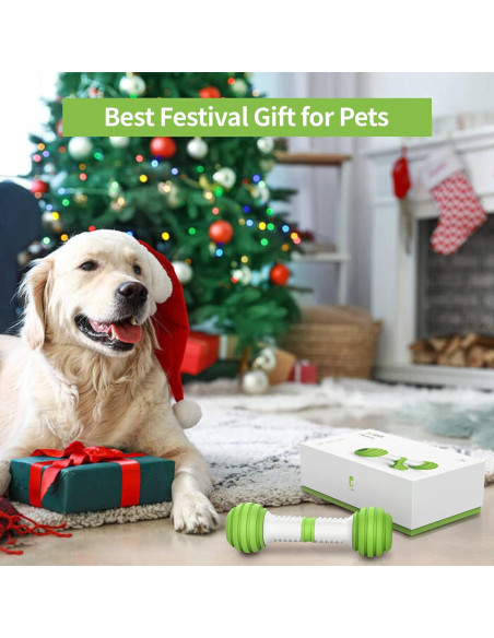 Juguete Interactivo PETGEEK Hueso Automático Verde 25.4cm Juguete Interactivo PETGEEK Hueso Automático Verde 25.4cm
