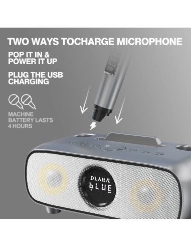 Máquina de Karaoke DLARA SD-316 Inalámbrica Bluetooth Oro