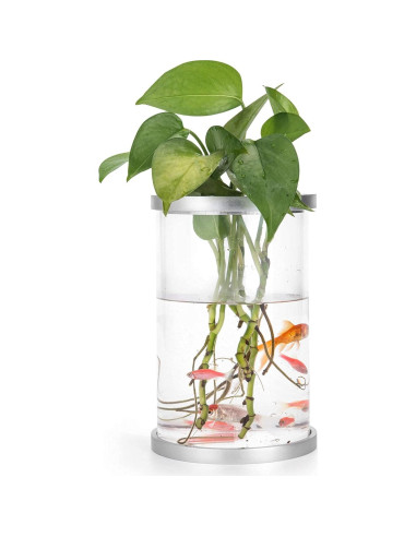 Mini Acuario Kotaffo LED Multicolor 10.99x10.99x18.99cm