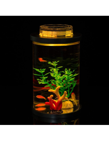 Mini Acuario Kotaffo LED Multicolor 10.99x10.99x18.99cm