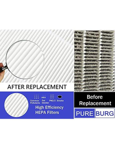 Filtros HEPA Verdadero PUREBURG Vital 100S-RF 2 Piezas