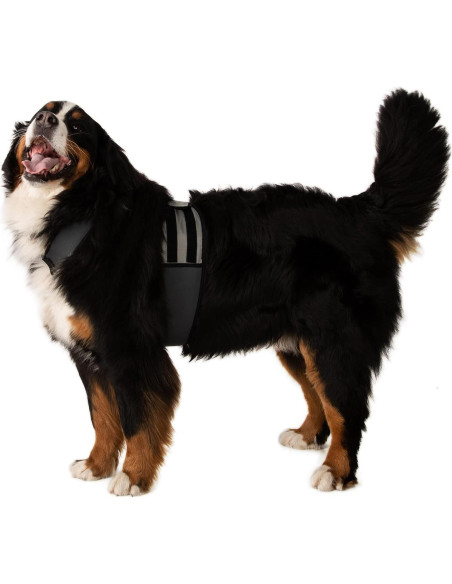 Chaleco y Collar Refrigerante para Perros Maranda XL Chaleco y Collar Refrigerante para Perros Maranda XL